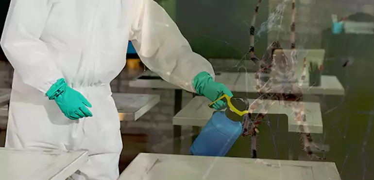 Why Buyers Still Want Homes With Pest Infestations in Wichita, KS?